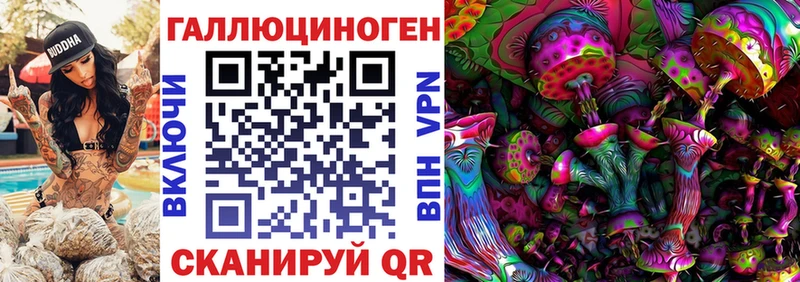 MEGA сайт Дорогобуж Галлюциногенные грибы GOLDEN TEACHER где можно купить